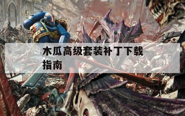木瓜高級套裝補(bǔ)丁下載指南