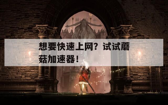 想要快速上網(wǎng)？試試蘑菇加速器！
