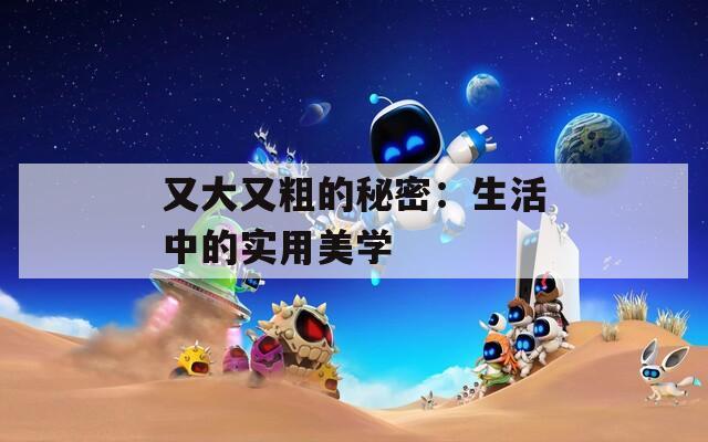 又大又粗的秘密：生活中的實用美學(xué)