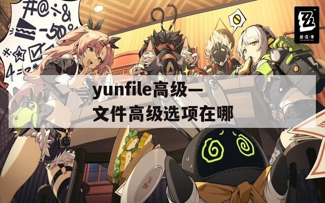 yunfile高級(jí)—文件高級(jí)選項(xiàng)在哪