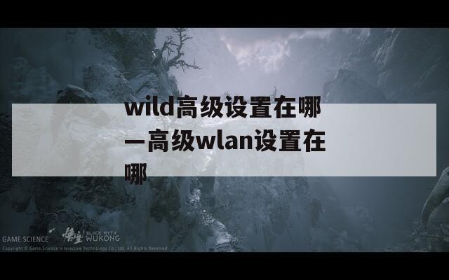 wild高級設(shè)置在哪—高級wlan設(shè)置在哪
