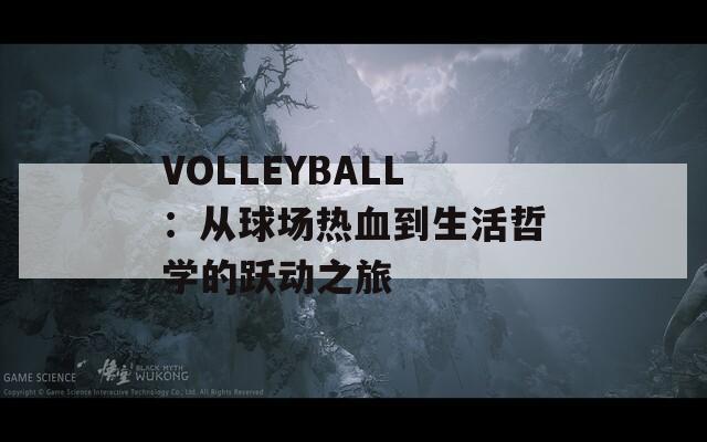VOLLEYBALL：從球場(chǎng)熱血到生活哲學(xué)的躍動(dòng)之旅