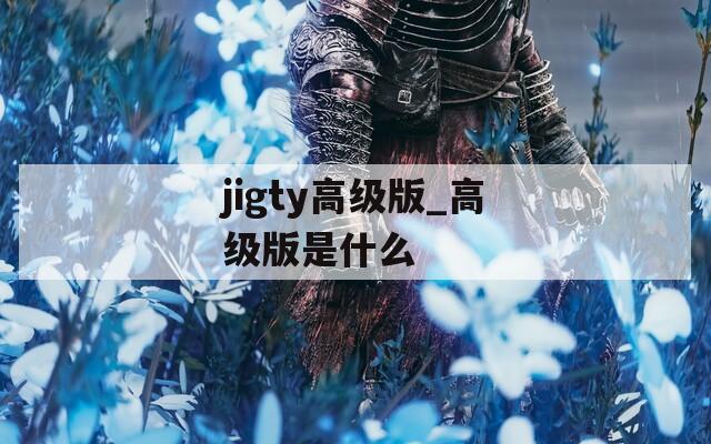 jigty高級版_高級版是什么