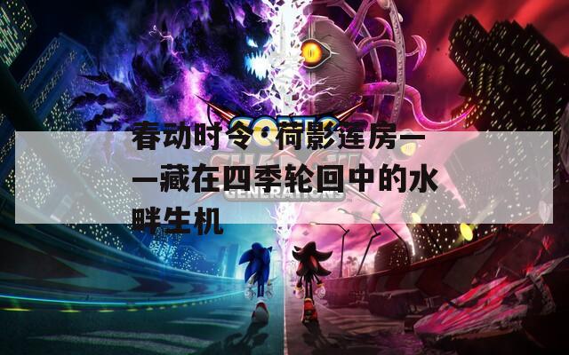 春動時令·荷影蓮房——藏在四季輪回中的水畔生機