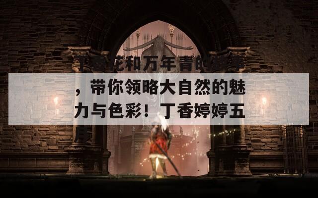 丁香花和萬年青的故事，帶你領(lǐng)略大自然的魅力與色彩！丁香婷婷五月