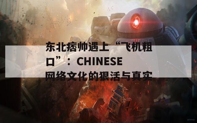 東北痞帥遇上“飛機(jī)粗口”：CHINESE網(wǎng)絡(luò)文化的狠活與真實(shí)