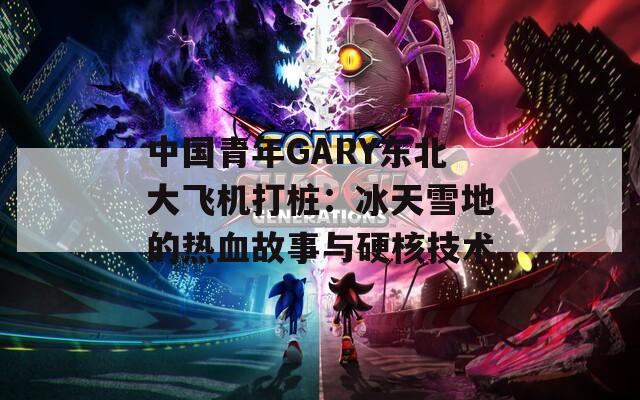 中國青年GARY東北大飛機(jī)打樁：冰天雪地的熱血故事與硬核技術(shù)