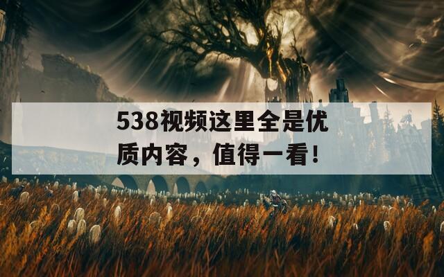 538視頻這里全是優(yōu)質(zhì)內(nèi)容，值得一看！