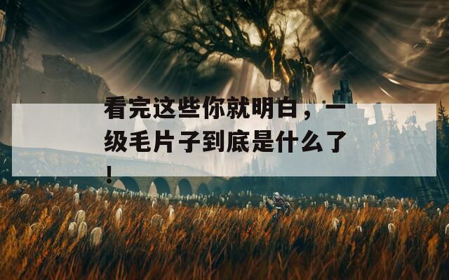 看完這些你就明白，一級毛片子到底是什么了！