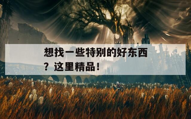 想找一些特別的好東西？這里精品！