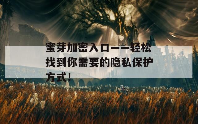 蜜芽加密入口——輕松找到你需要的隱私保護方式！