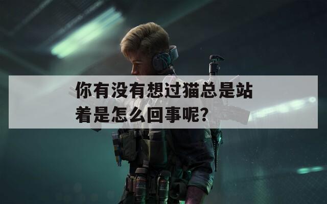 你有沒(méi)有想過(guò)貓總是站著是怎么回事呢？