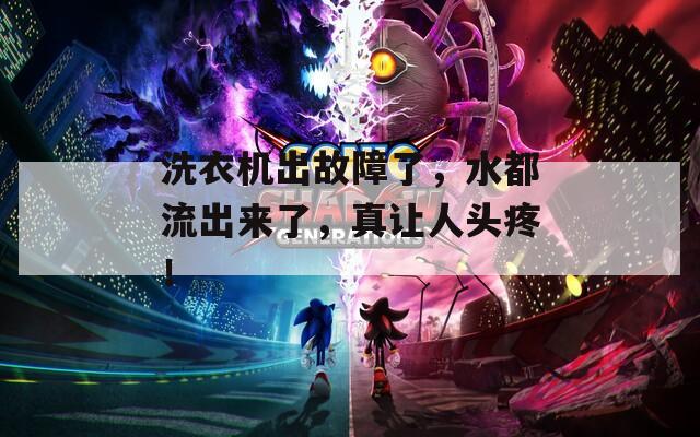 洗衣機(jī)出故障了，水都流出來(lái)了，真讓人頭疼！