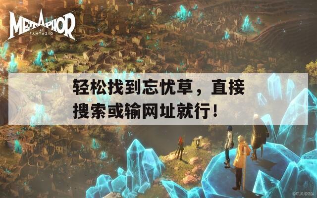 輕松找到忘憂草，直接搜索或輸網(wǎng)址就行！