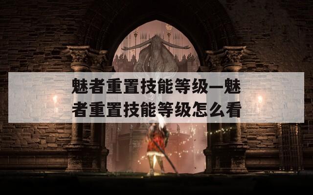 魅者重置技能等級—魅者重置技能等級怎么看