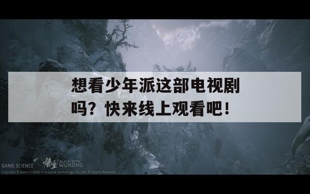 想看少年派這部電視劇嗎？快來線上觀看吧！