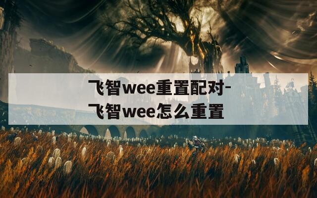 飛智wee重置配對-飛智wee怎么重置