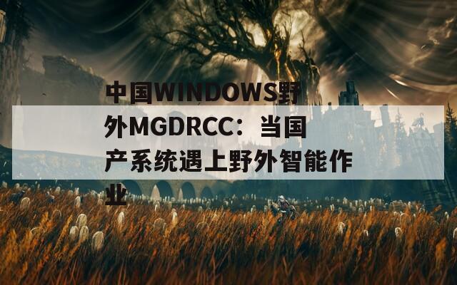 中國WINDOWS野外MGDRCC：當(dāng)國產(chǎn)系統(tǒng)遇上野外智能作業(yè)