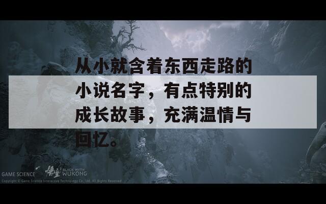 從小就含著東西走路的小說(shuō)名字，有點(diǎn)特別的成長(zhǎng)故事，充滿溫情與回憶。