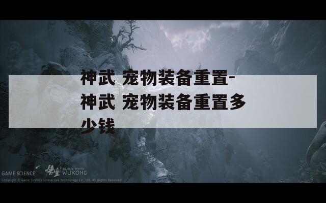 神武 寵物裝備重置-神武 寵物裝備重置多少錢(qián)