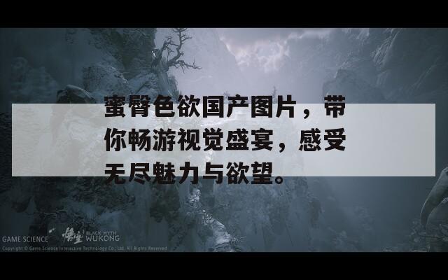 蜜臀色欲國產(chǎn)圖片，帶你暢游視覺盛宴，感受無盡魅力與欲望。