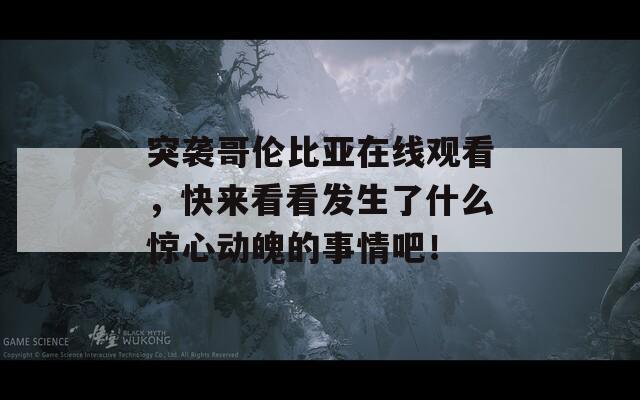 突襲哥倫比亞在線觀看，快來(lái)看看發(fā)生了什么驚心動(dòng)魄的事情吧！