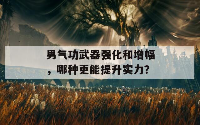 男氣功武器強(qiáng)化和增幅，哪種更能提升實(shí)力？