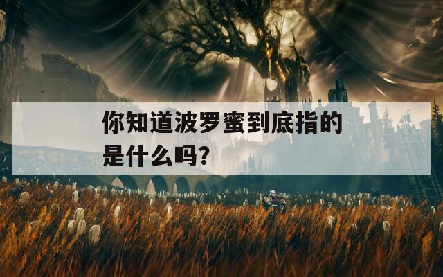 你知道波羅蜜到底指的是什么嗎？