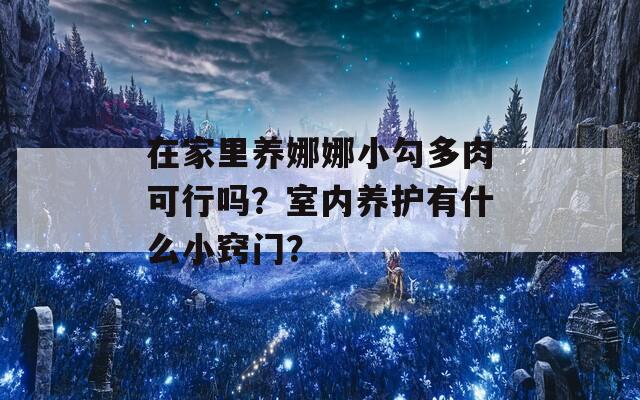 在家里養(yǎng)娜娜小勾多肉可行嗎？室內(nèi)養(yǎng)護(hù)有什么小竅門(mén)？