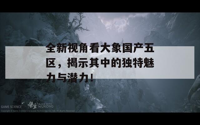 全新視角看大象國(guó)產(chǎn)五區(qū)，揭示其中的獨(dú)特魅力與潛力！