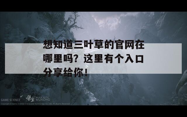 想知道三葉草的官網(wǎng)在哪里嗎？這里有個(gè)入口分享給你！