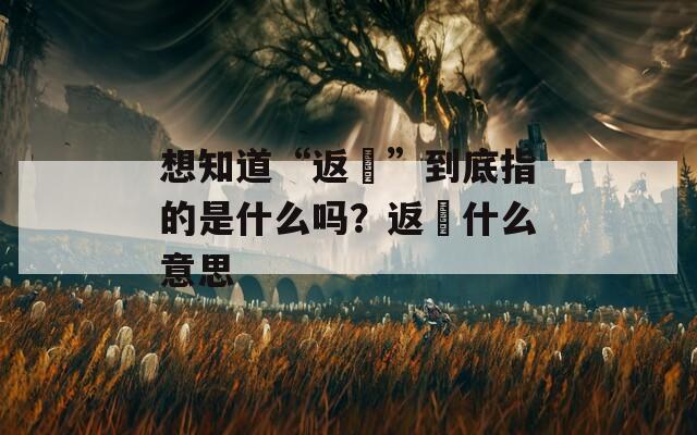 想知道“返穂”到底指的是什么嗎？返穂什么意思