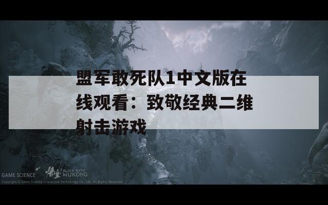 盟軍敢死隊1中文版在線觀看：致敬經(jīng)典二維射擊游戲