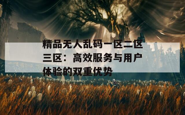 精品無人亂碼一區(qū)二區(qū)三區(qū)：高效服務(wù)與用戶體驗(yàn)的雙重優(yōu)勢