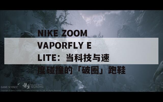 NIKE ZOOM VAPORFLY ELITE：當(dāng)科技與速度碰撞的「破圈」跑鞋