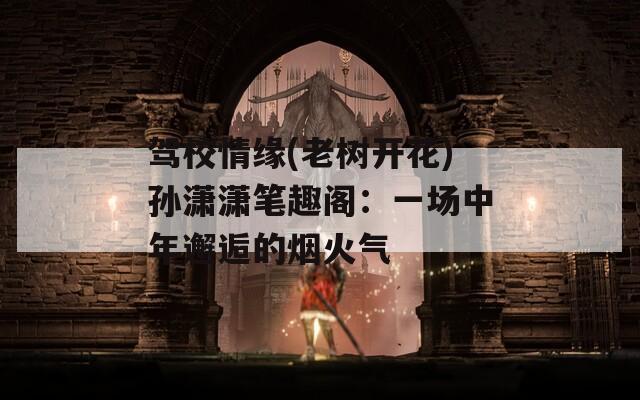 駕校情緣(老樹開花)孫瀟瀟筆趣閣：一場中年邂逅的煙火氣