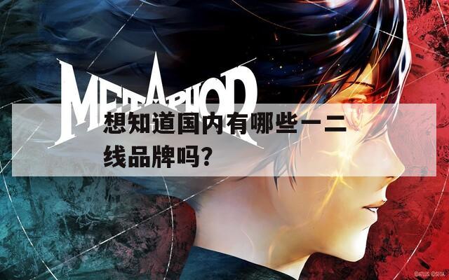 想知道國內(nèi)有哪些一二線品牌嗎？