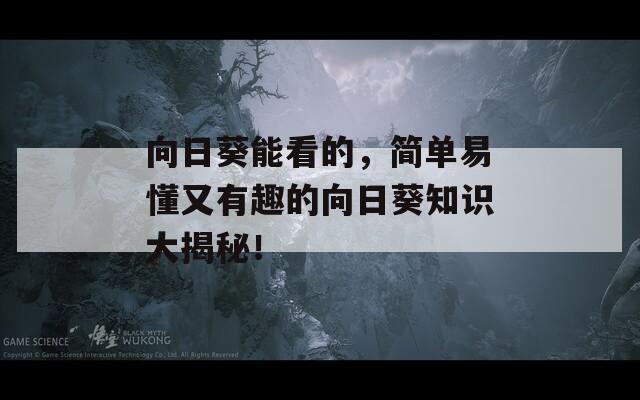 向日葵能看的，簡單易懂又有趣的向日葵知識大揭秘！