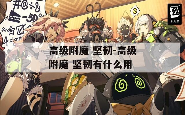 高級附魔 堅韌-高級附魔 堅韌有什么用