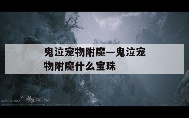 鬼泣寵物附魔—鬼泣寵物附魔什么寶珠