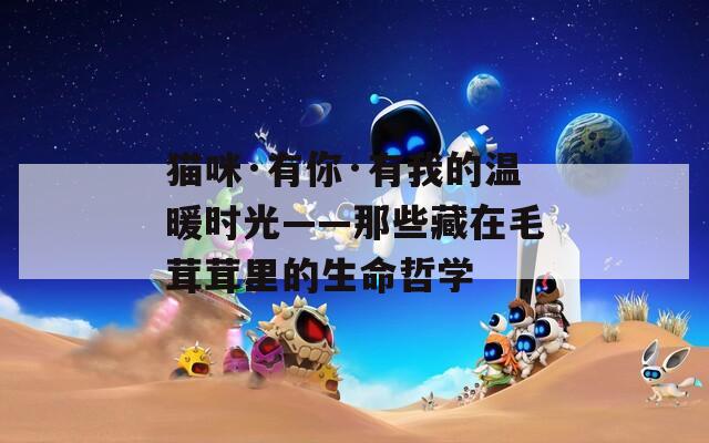 貓咪·有你·有我的溫暖時光——那些藏在毛茸茸里的生命哲學