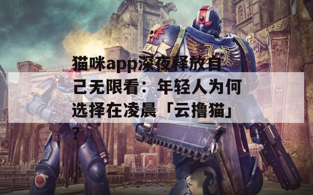 貓咪app深夜釋放自己無限看：年輕人為何選擇在凌晨「云擼貓」？