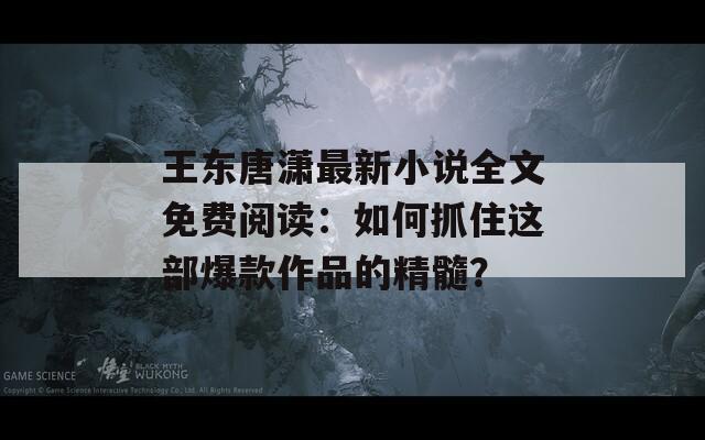 王東唐瀟最新小說全文免費(fèi)閱讀：如何抓住這部爆款作品的精髓？