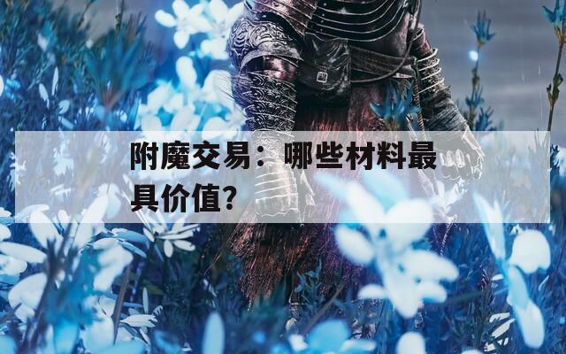 附魔交易：哪些材料最具價值？