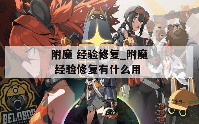 附魔 經(jīng)驗修復(fù)_附魔 經(jīng)驗修復(fù)有什么用