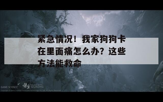 緊急情況！我家狗狗卡在里面痛怎么辦？這些方法能救命
