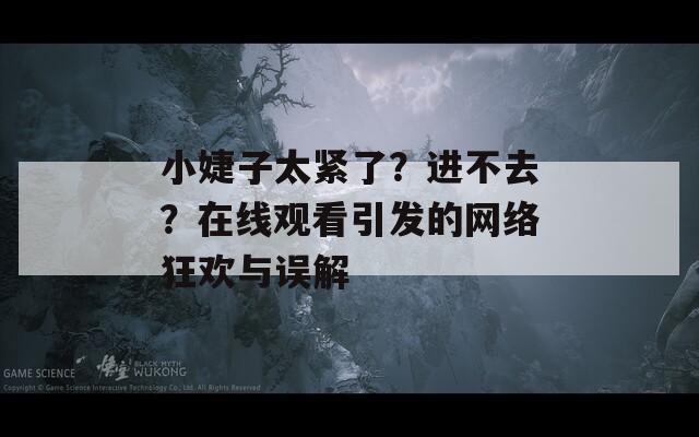 小婕子太緊了？進(jìn)不去？在線觀看引發(fā)的網(wǎng)絡(luò)狂歡與誤解