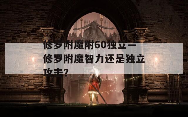 修羅附魔附60獨立—修羅附魔智力還是獨立攻擊？