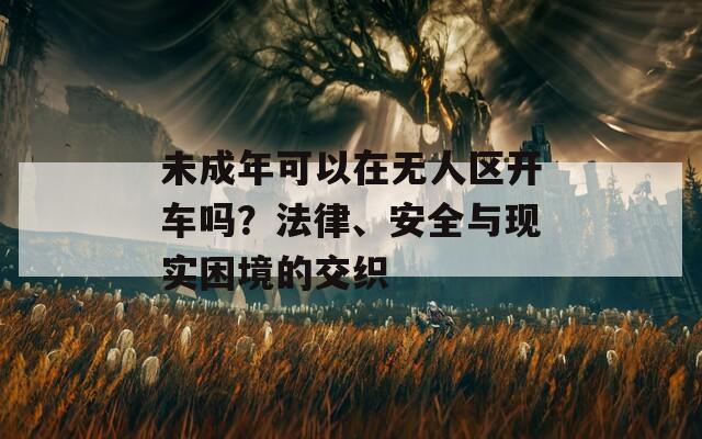 未成年可以在無人區(qū)開車嗎？法律、安全與現(xiàn)實困境的交織
