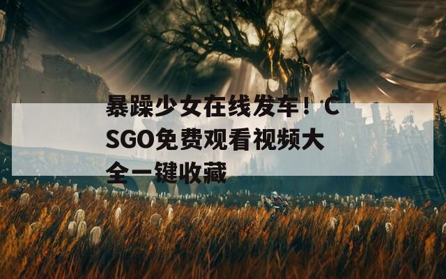 暴躁少女在線發(fā)車！CSGO免費觀看視頻大全一鍵收藏